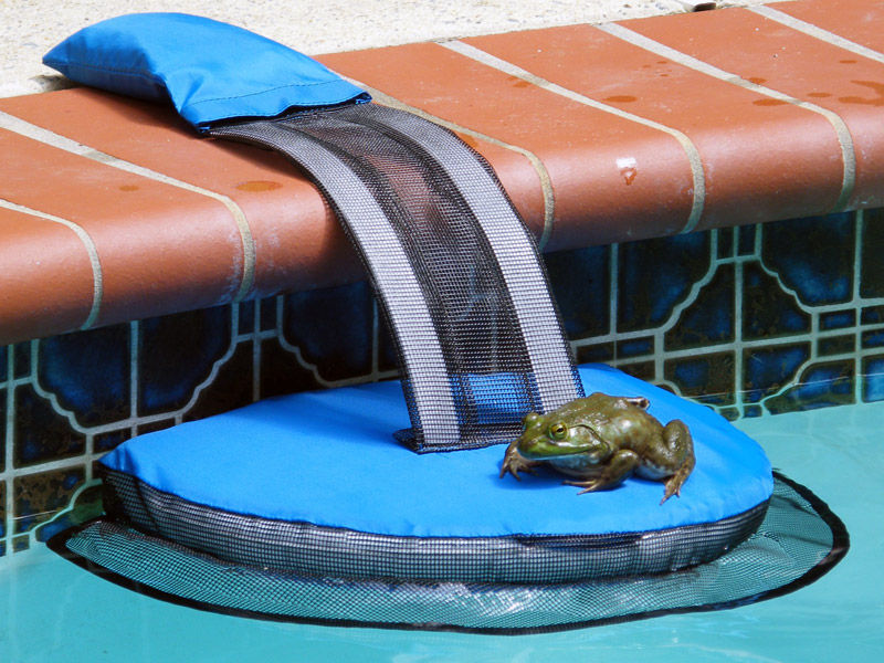 FrogLog® Critter Saving Escape Ramp The Land Down Under