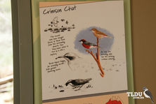 Crimson Chat