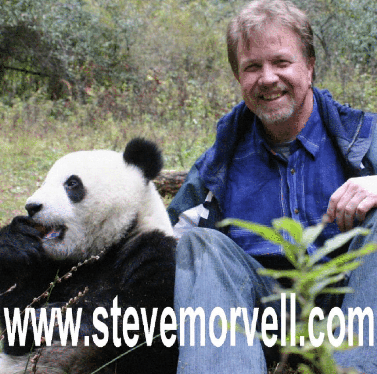 Steve Morvell Art for Conservation