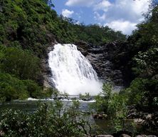 Bloomfield Falls - Tony's Tropical Tours