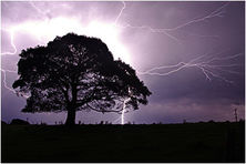 Lighting Storm - Natures Image Photography