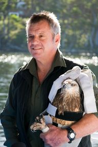 Raptor ready for release after a stay at Raptor Refuge