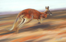 Steve Morvell Art for Conservation