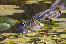 Venture North Nature Based Tours - Northern Territory