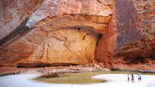 Venture North Nature Based Tours - Northern Territory