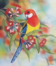  Lyn Cooke Wildlife Artist - Eastern Rosella and Flowering Gum