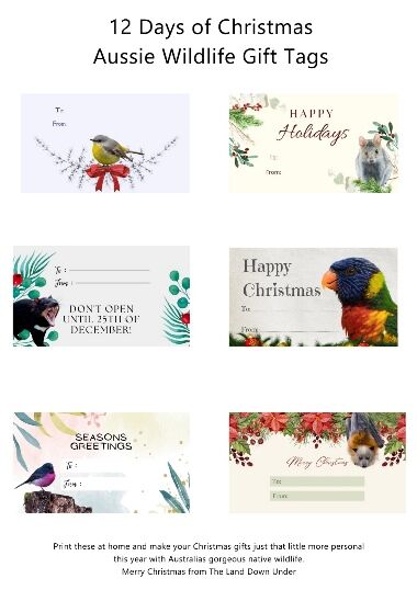 12 days of Christmas Gift Tags 1-6