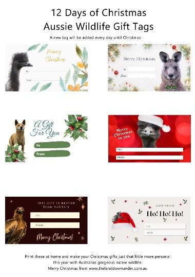 12 days of Christmas Gift Tags 7-12