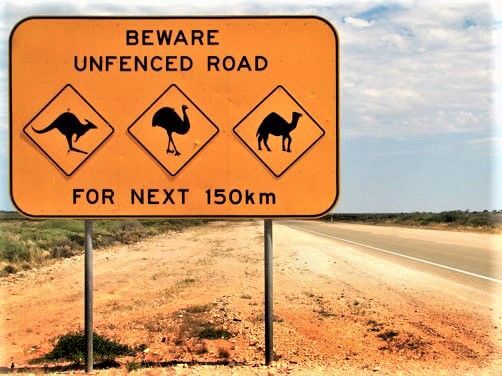 Beware of Wandering Animals on Unfenced Roads