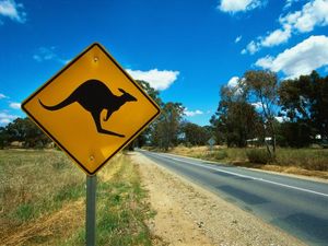 Watch Out for Wildlife - Wildlife Warning Signs