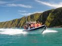 Marine Tours of Australias Oceans