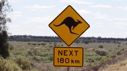 180 kms of Kangaroo Country - by Jacqueline Graf