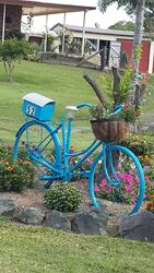 Beautiful bike in blue letterbox - what a gorgeous functional feature. - photo by Vivenne Tracy