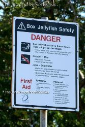 Box Jellyfish warning signs - take notice - Northern Territory