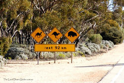 Camel, Kangaroo and Wombat Sign - South Australia