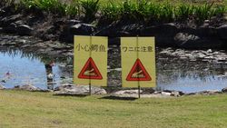 Crocodile Awareness at Port Douglas Golf Course - by Jacqueline Graf