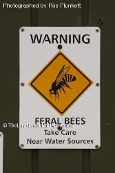 Warning: Feral Bees - these bees are bad tempered - keep your distance. - Victoria