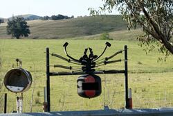 Giant Red-back spider letterbox - fancy putting your hand in here to get your mail out? - Victoria