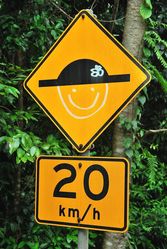 A speed bump who loves their job of slowing vehicles for Cassowaries - photo by Penny Smith at Cape Tribulation QLD