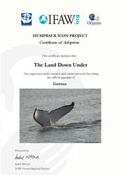 Humpback Whale Adoption Certificate - Gawura