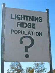 Lighting Ridge Population - who knows? Photo by Penny Smith