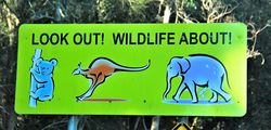 Crikey - look out for wildlife even elephants in the NSW bush - photo by Penny Smith