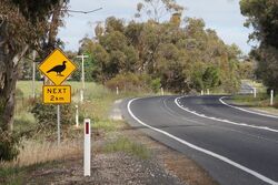 Mallee Fowl area - Victoria. Photo by The Land Down Under