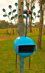 Peacock Letterbox - photo by Penny Smith