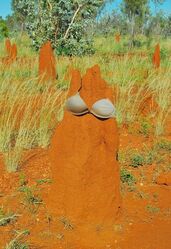 Termite Mound Lady, Mount Isa QLD. Photo by Penny Smith