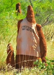 Termite Mound Man who tried to be good. Mount Isa QLD. Photo by Penny Smith