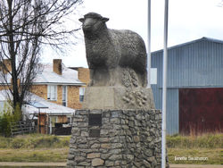 The Big Lamb - Guyra NSW - by Janelle Swainston