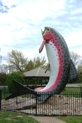 The Big Trout - Adaminaby New South Wales