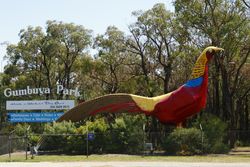 The Big Pheasant - Gumbuya Park - Victoria