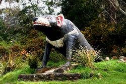 The Big Tasmanian Devil - Tasmania