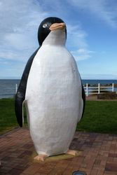 The Big Penguin - Tasmania