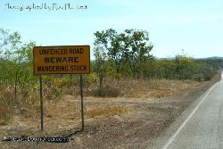 Beware Wandering Stock - No Fences - these guys mean it! - Northern Territory