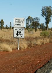 Watch out for Lizards - Uluru - Northern Territory