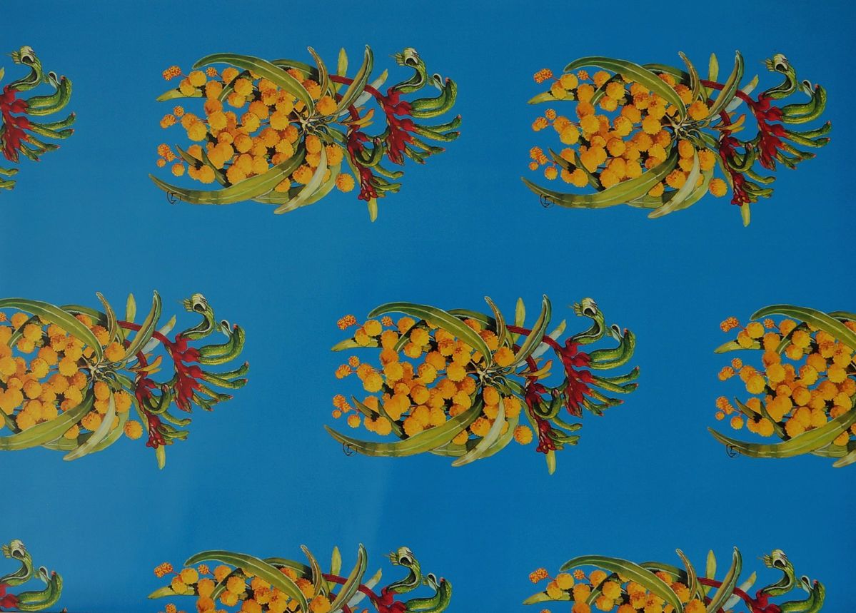Golden Wattle & Red & Green Kangaroo Paw Gift Wrap.  Each sheet is 46 x 64cm - available n