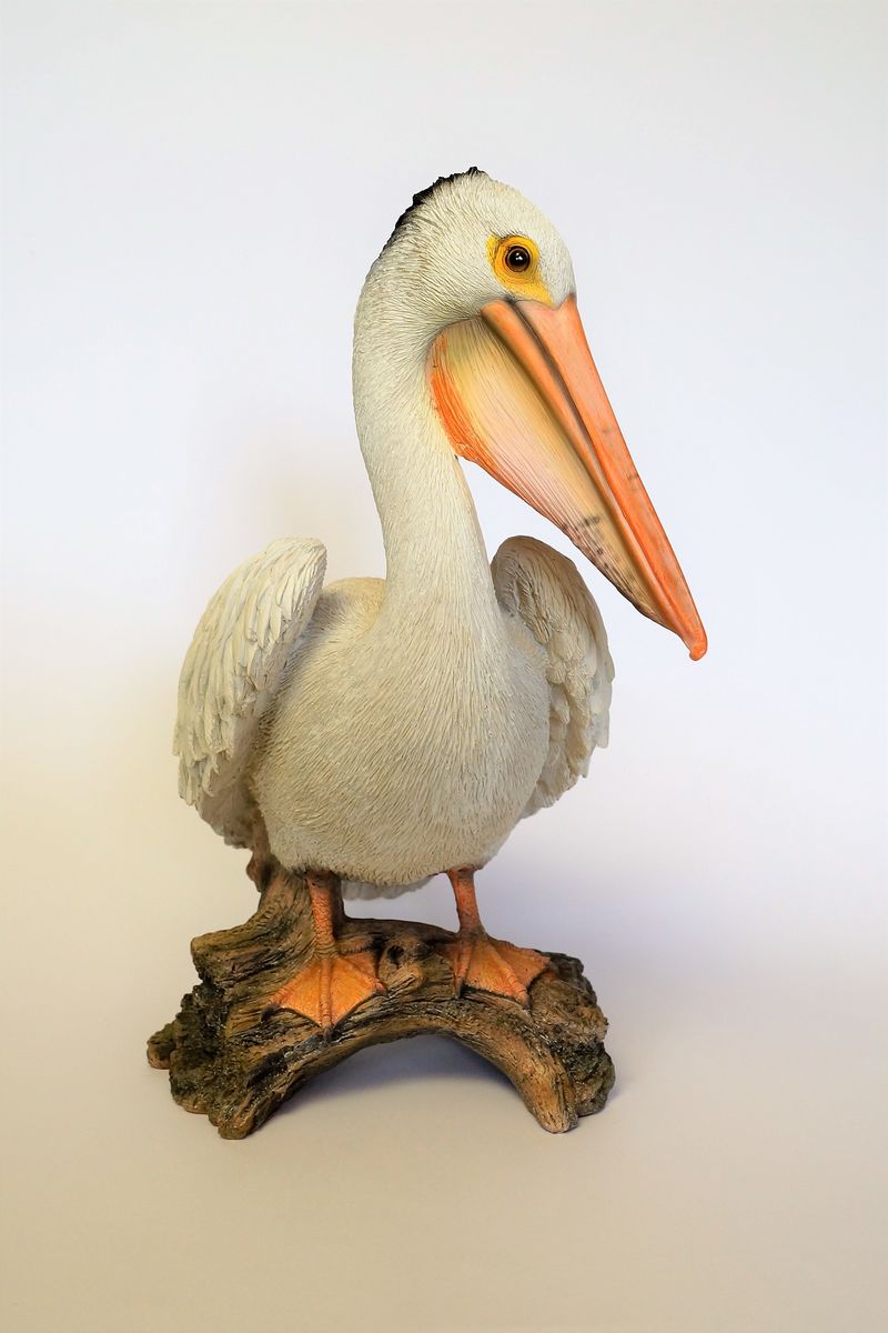 Pelican Indoor/Outdoor Statue The Land Down Under