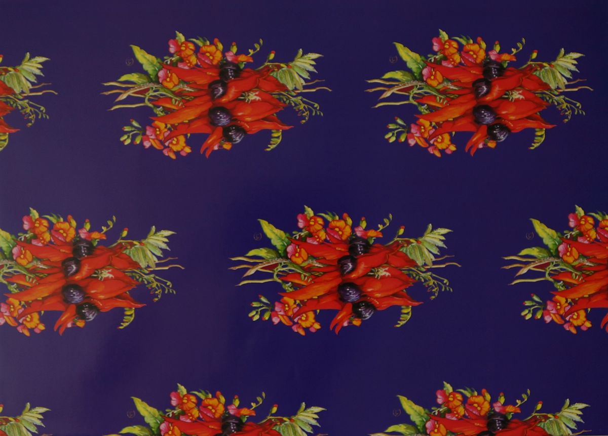 Sturt's Desert Pea & Flame Pea Gift Wrap. Sheet size Sheet size 46 x 64cm