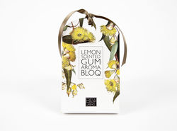 Enjoy the sweet scents of Australia with this Lemon Scent Aroma Bloq - available from The 