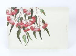 Eucalypt Placemats - 4 x Assorted Dining Placemats, Double sided Placemat size - W 29cm x 