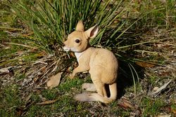 Kangaroo Joey Indoor/Outdoor Statue