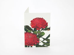 A charming selection of small, native floral gift cards. 6 Mini notecards. Available at Th
