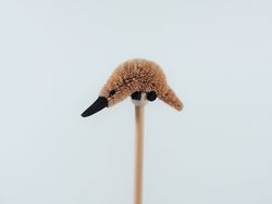 Platypus Pencil - The Land Down Under